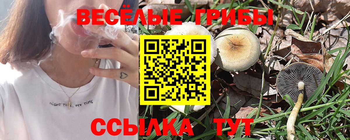 Галлюциногенные грибы Magic Shrooms Новозыбков