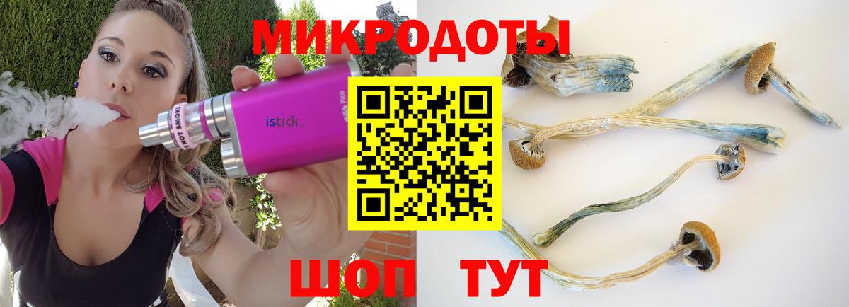 Псилоцибиновые грибы ЛСД  Вход с VPN  Новозыбков 