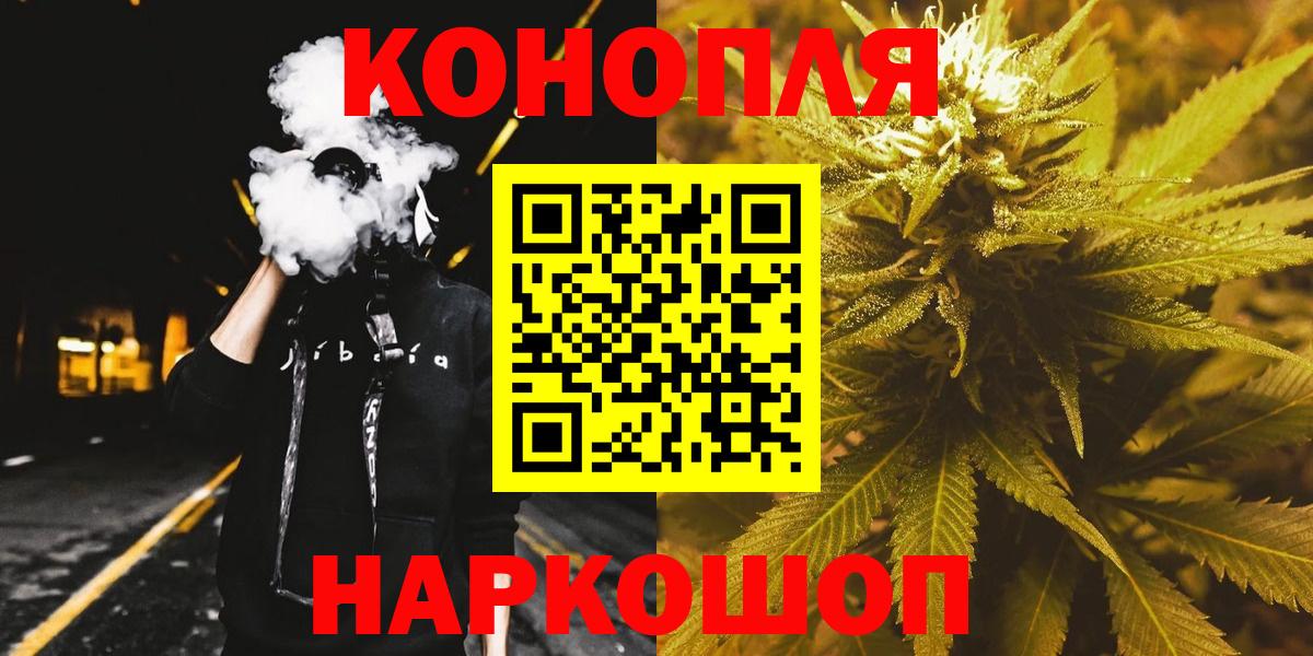 Канабис сатива Новозыбков