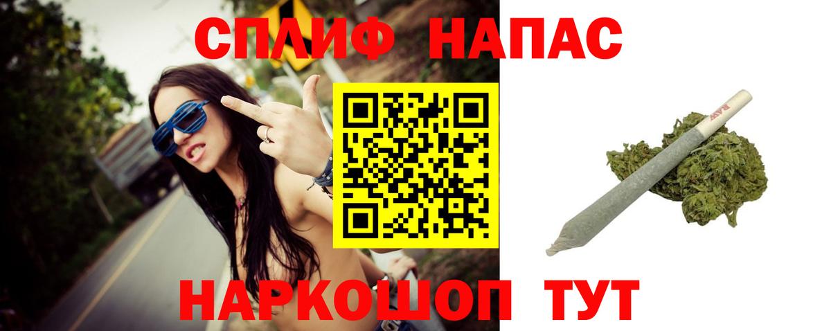Конопля MAZAR  Вход с VPN  Марихуана планчик  Каннабис тримм  Новозыбков  Бошки Шишки гибрид 